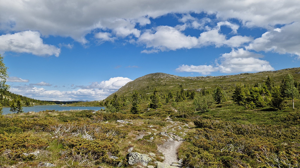 Kalvemellen.