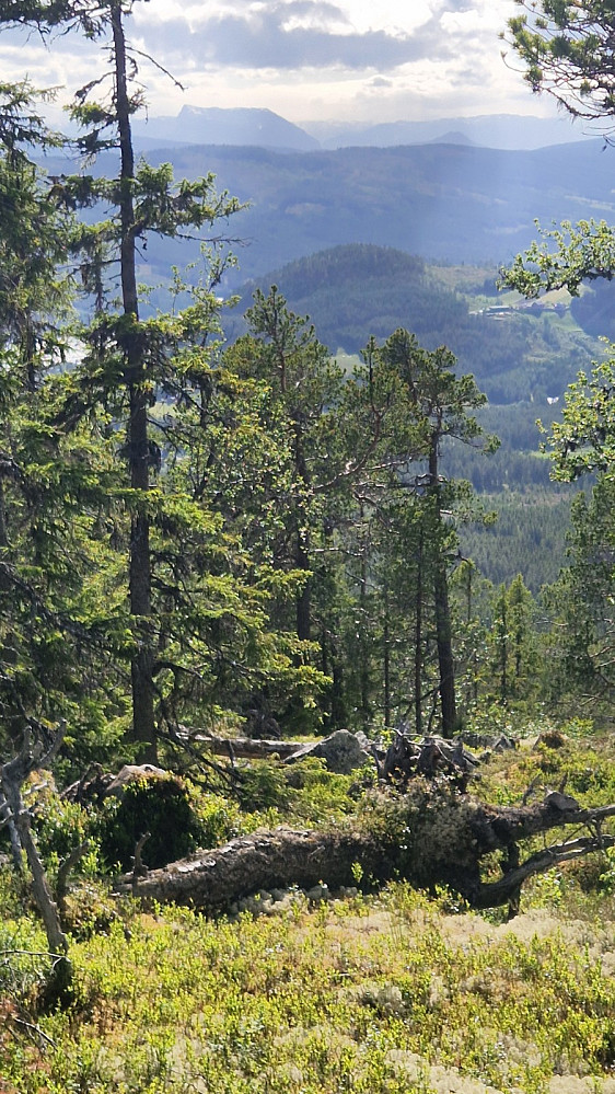 Det må vera Mugnetind, og så Bitihorn som stikk opp.