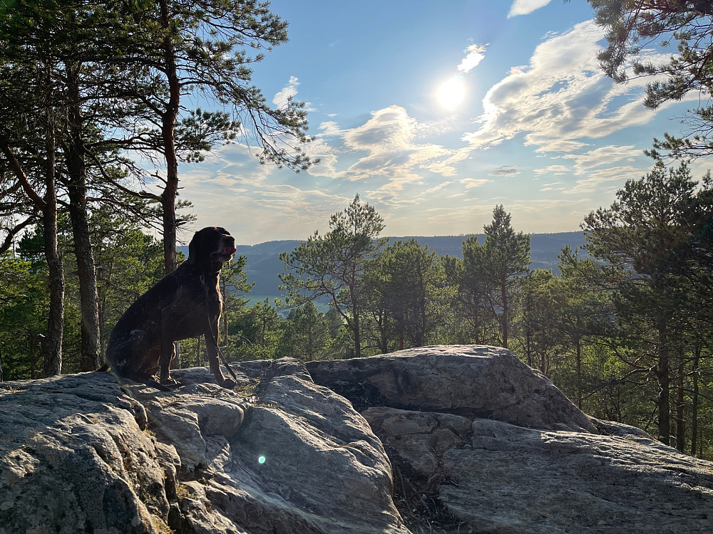 Fint på Sjetnåsen nord