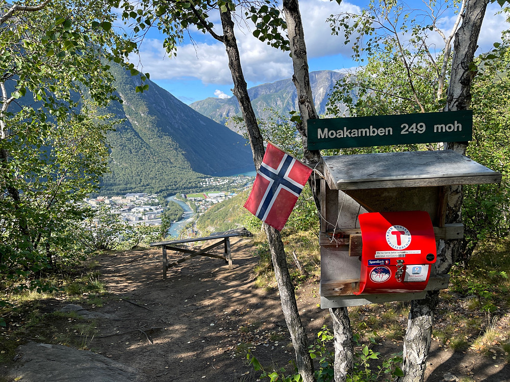 Trimpost m/flagg