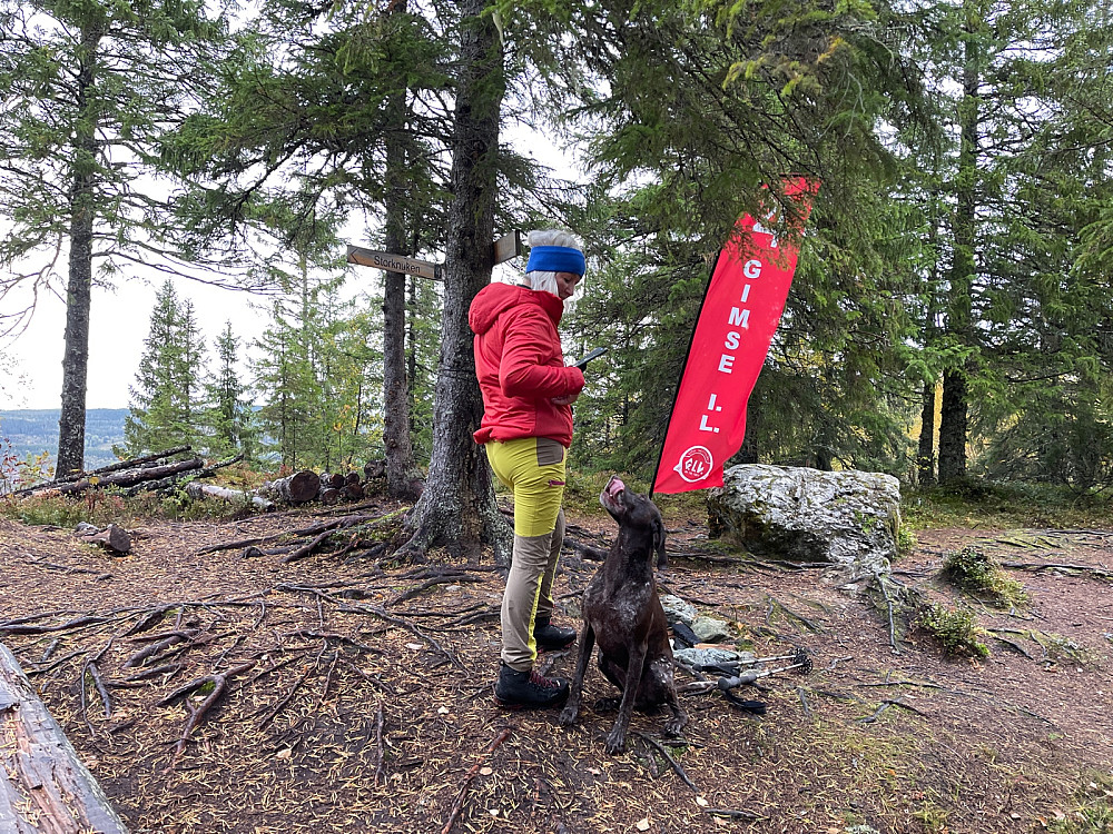 Topp4-flagget kan vel tas ned nå...