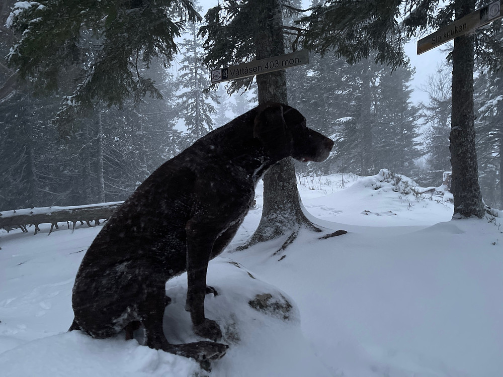 Atlas på toppen