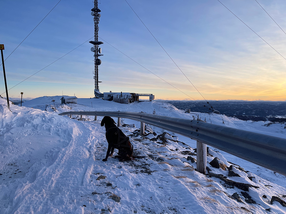 Sola er på nedtur og vi er på retur