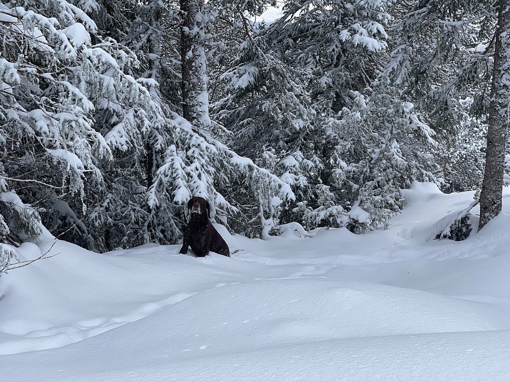 Bra med snø på Våttåsen