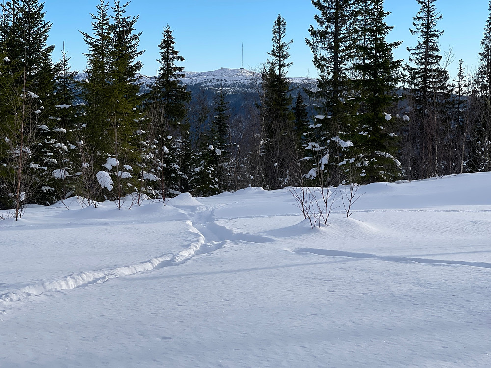 Sikkert fint på Vassfjellet også i dag!