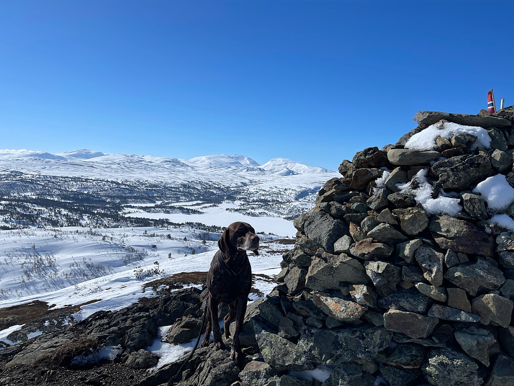 Trollheimen