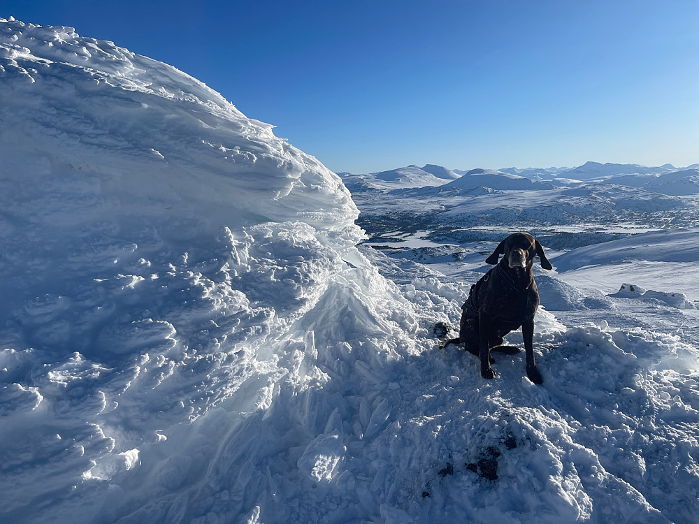 Trollheimen i kveldssol