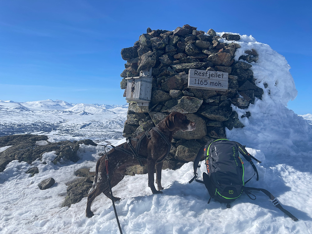 Sesongens siste skitur til Resfjelltoppen