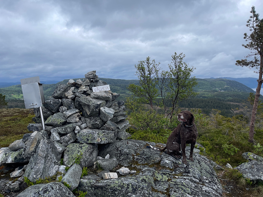 Spennende lukter på toppen (også)