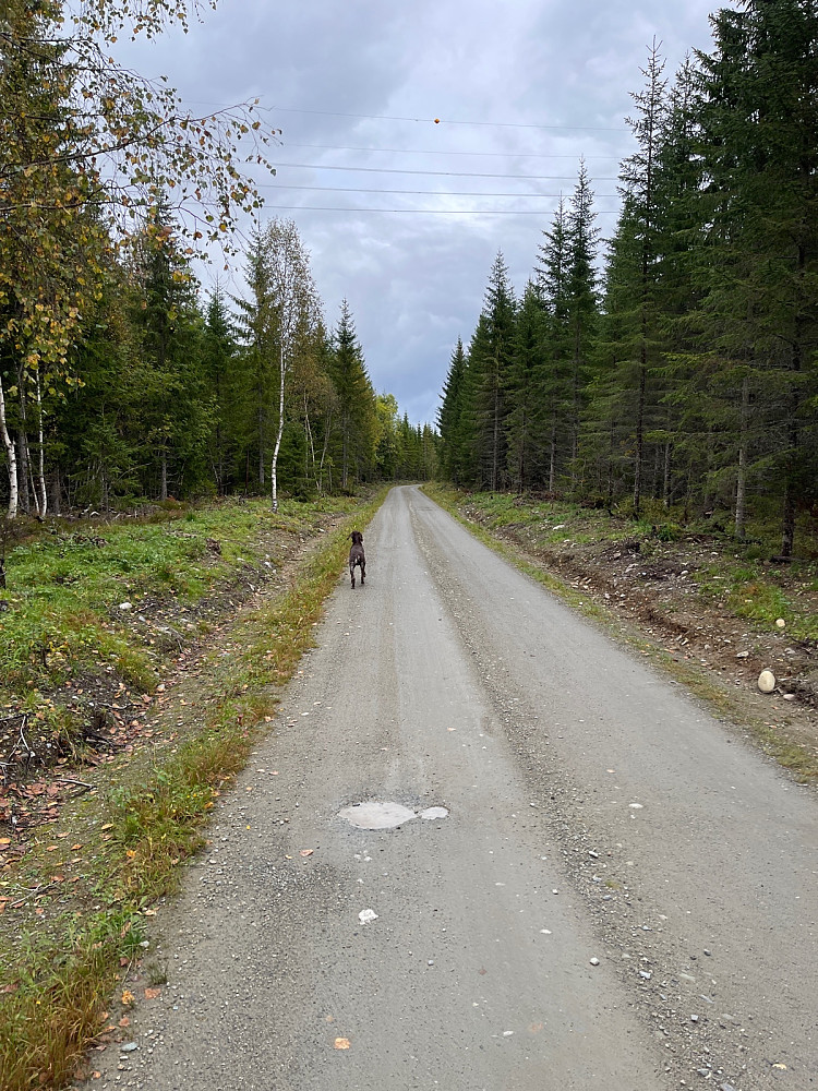 Hadde vært kjekt med sykkel