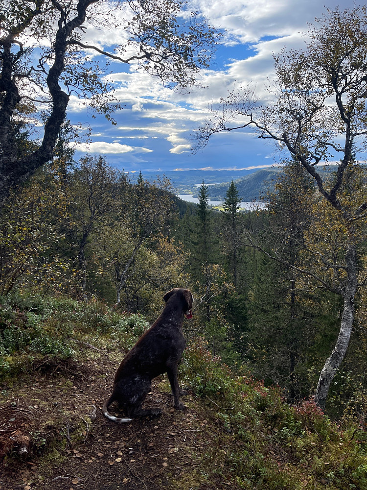 Finvær