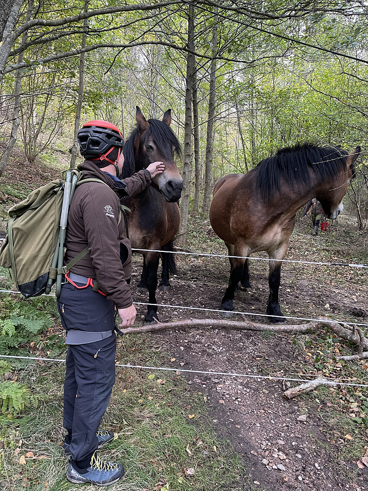 Trivelig møte