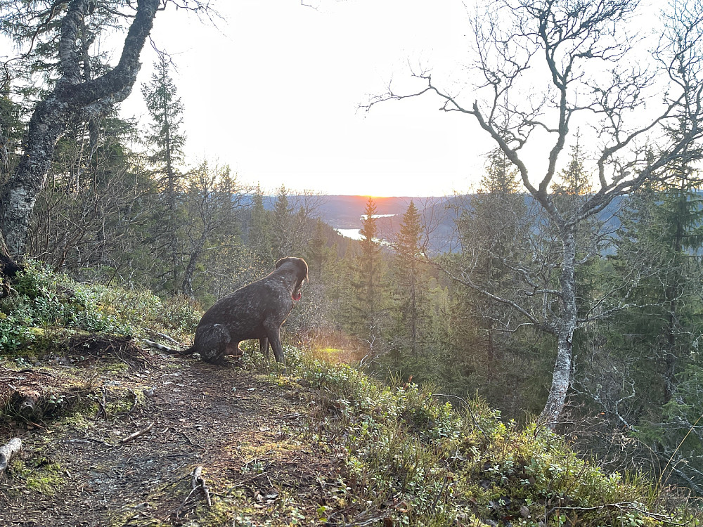 Kald og frisk høstluft