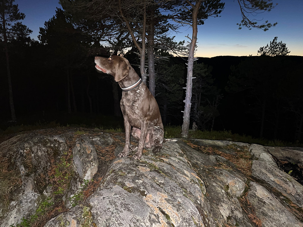 Sjetnåsen N