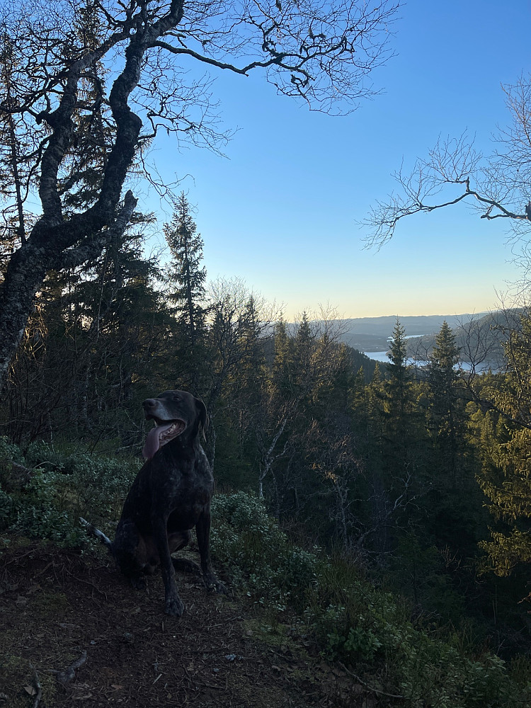 Atlas