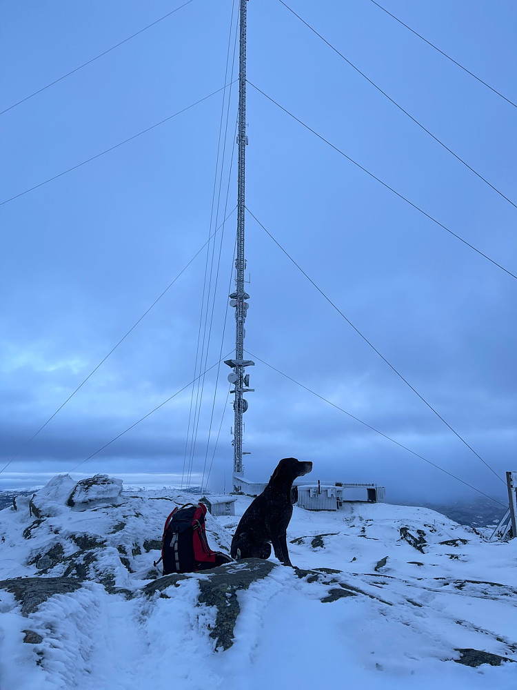 Atlas på toppen