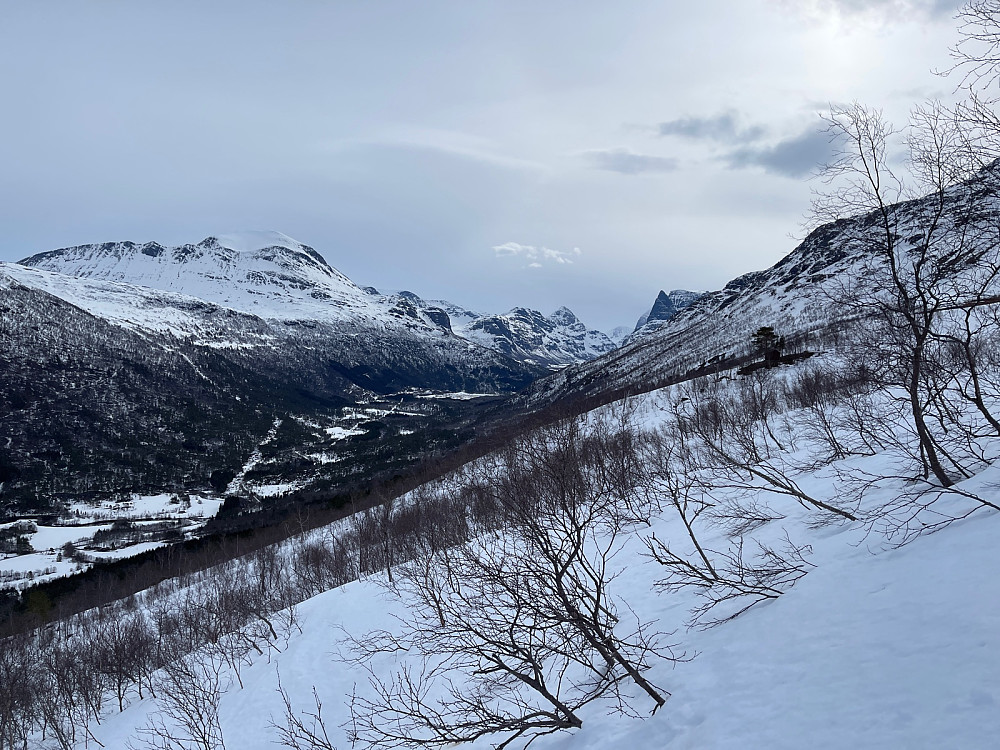 Innover Innerdalen