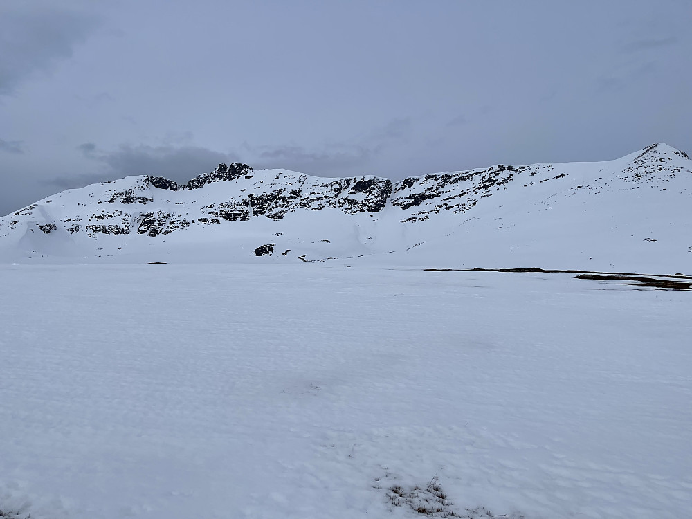 Grøvelnebba