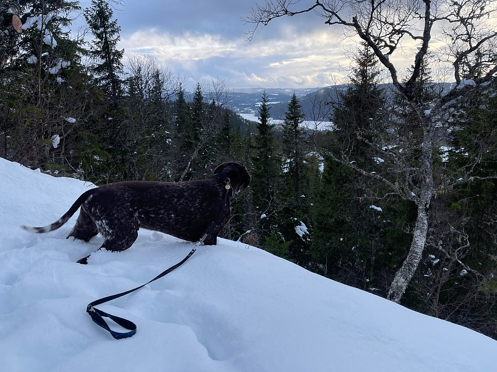 Nysnø (!) på toppen
