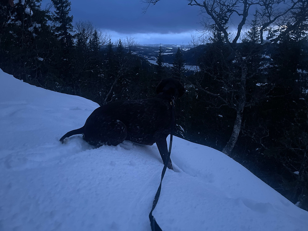 Stadig påfyll av snø. Vi har jo ikke kommet lenger enn til 30. april.. ;)