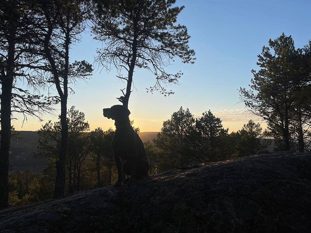 Strålende vær!