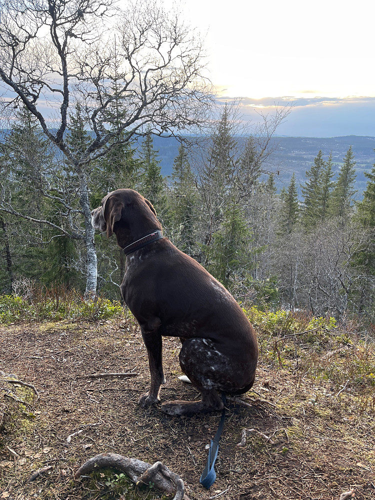 Finvær
