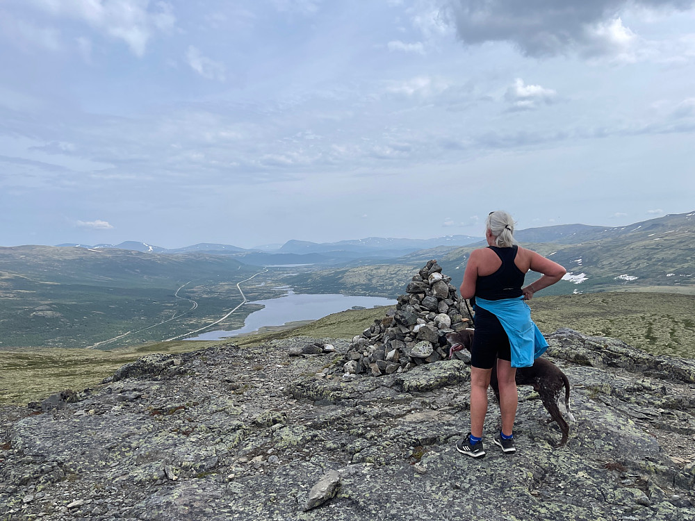 Utsikt mot nordøst