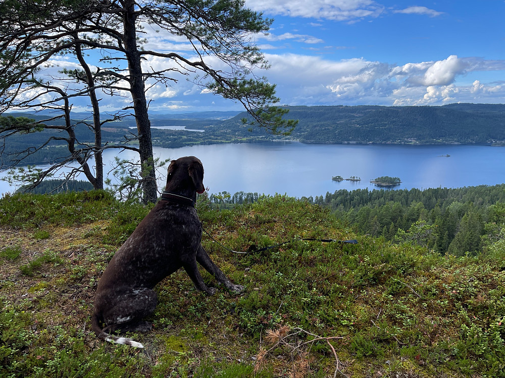 Fin utsikt mot Ånøya fra Gråskarven sørvest