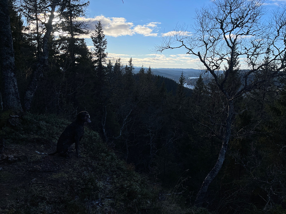 Utsikt mot Trollheimen, retning hytta