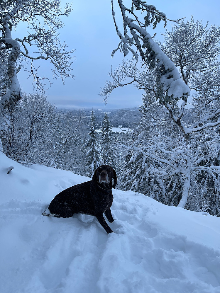 Våttåsen