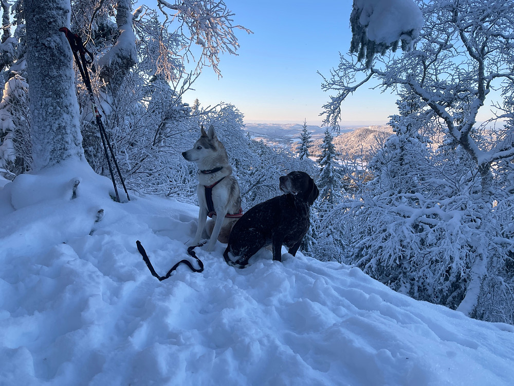 Sol på toppen