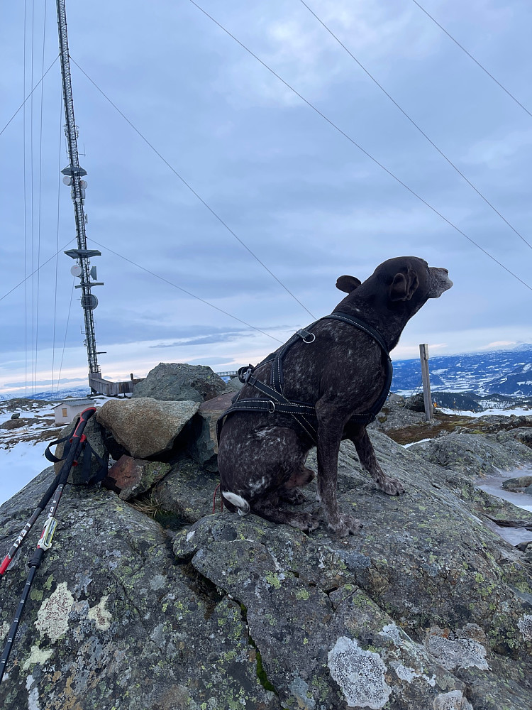 Dagens turkompis Atlas på toppen