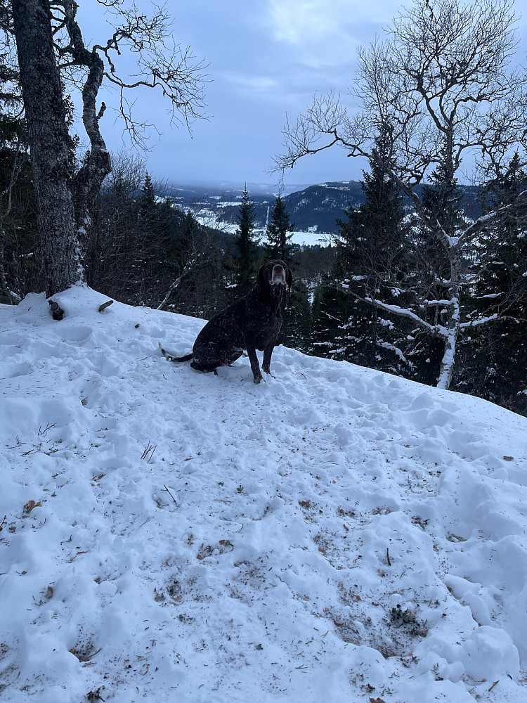 Snøvær i Trollheimen