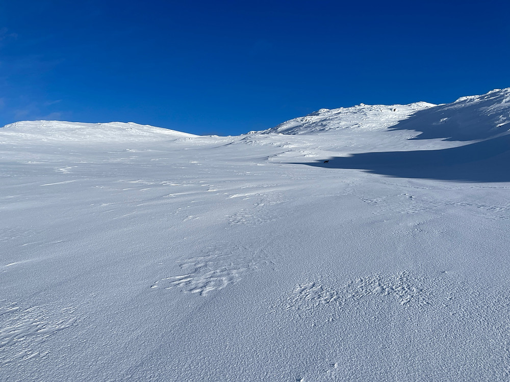 Hovedtoppen til høyre