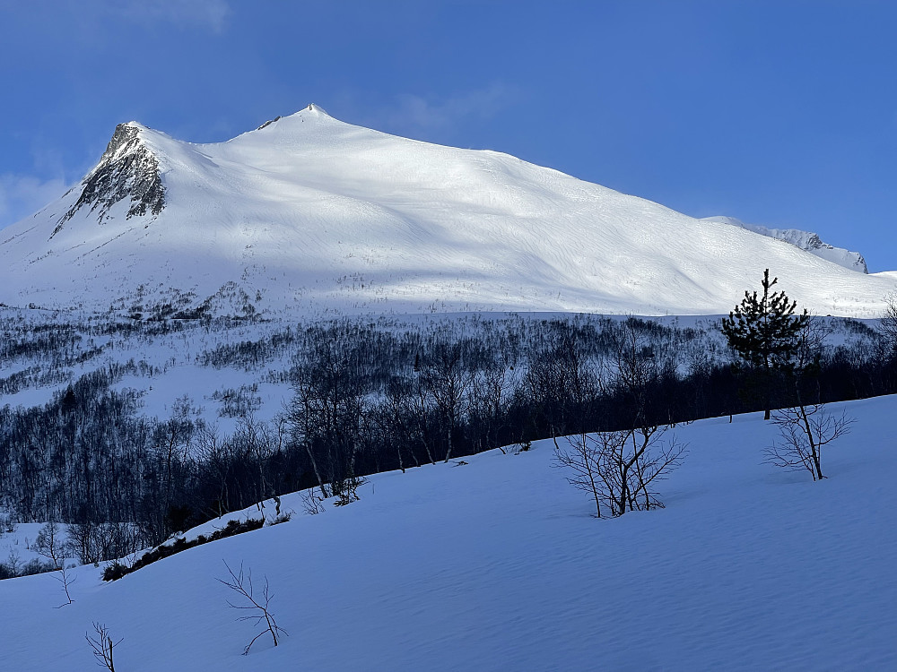 Ikonisk fjell!