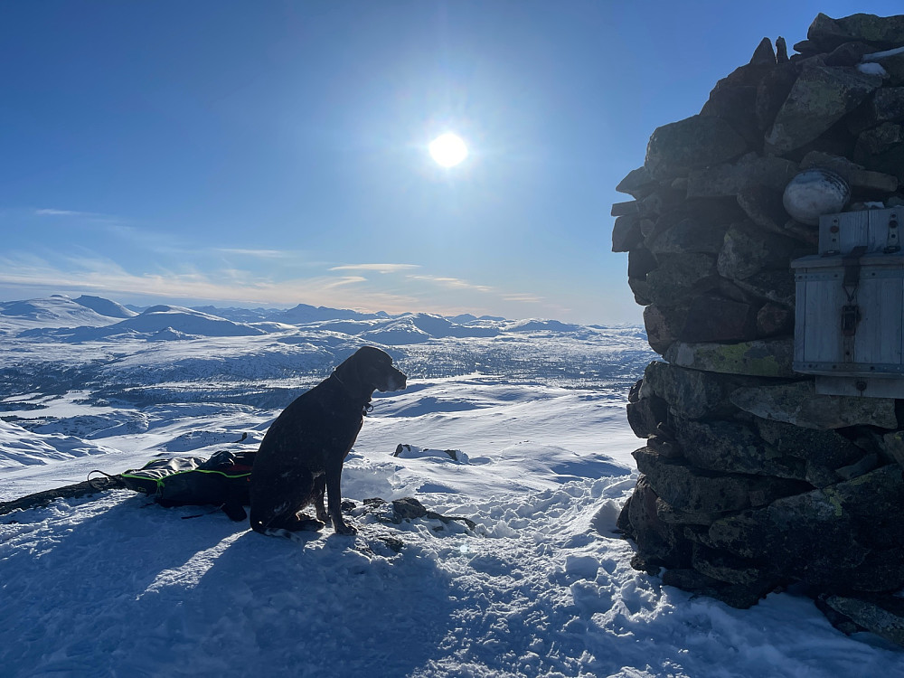 Trollheimen