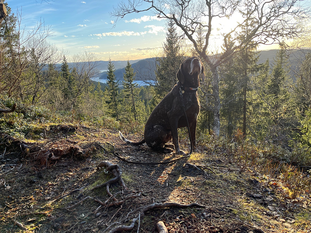 8-åringen på topp