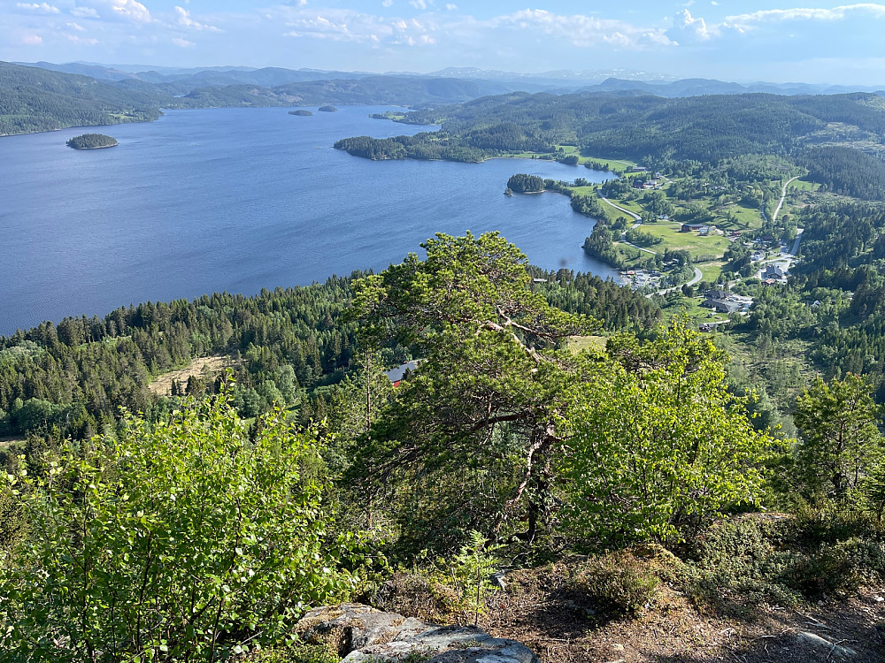 Bra utsikt utover bl.a. Ånøya fra toppen