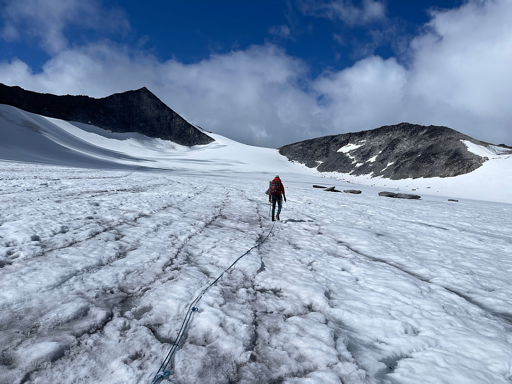 Svellnosbreen