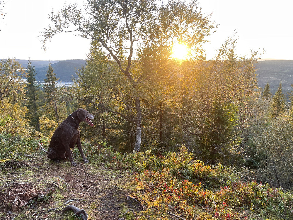 Sola går lavere for hver dag nå