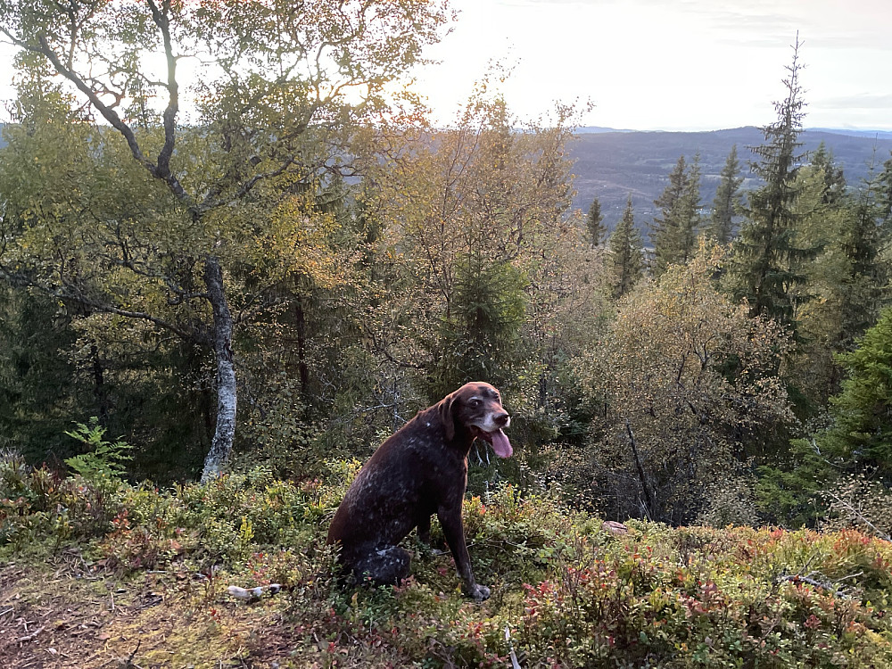 Gut på topp