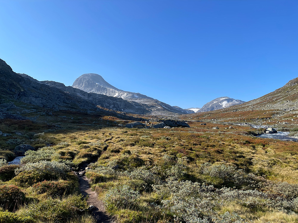 Ut av skogen åpner Tverrådalen seg. Toppen har gjemt seg bak nord-toppen
