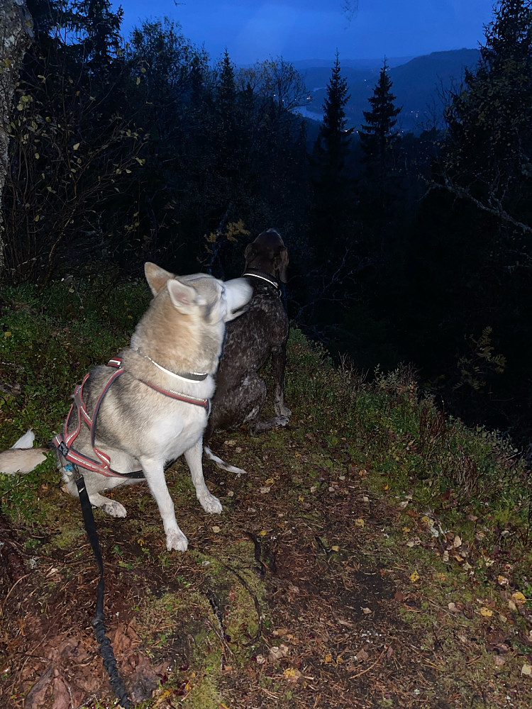 Gutta på topp