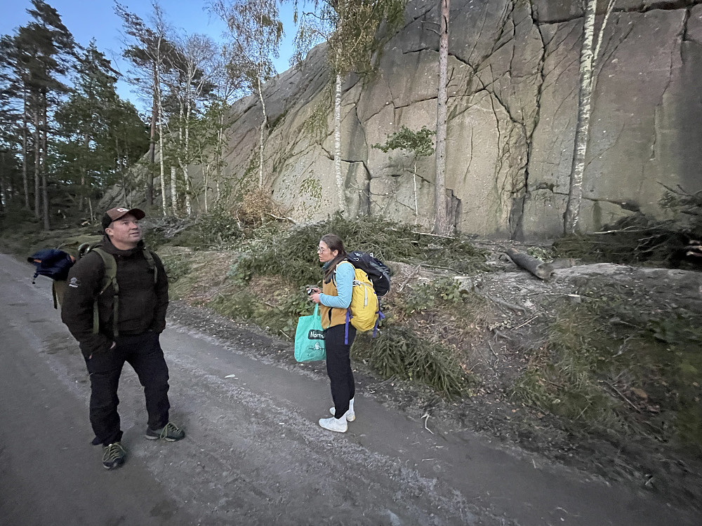 Det meste av trærne foran klippen på Rågårdsdal er fjernet