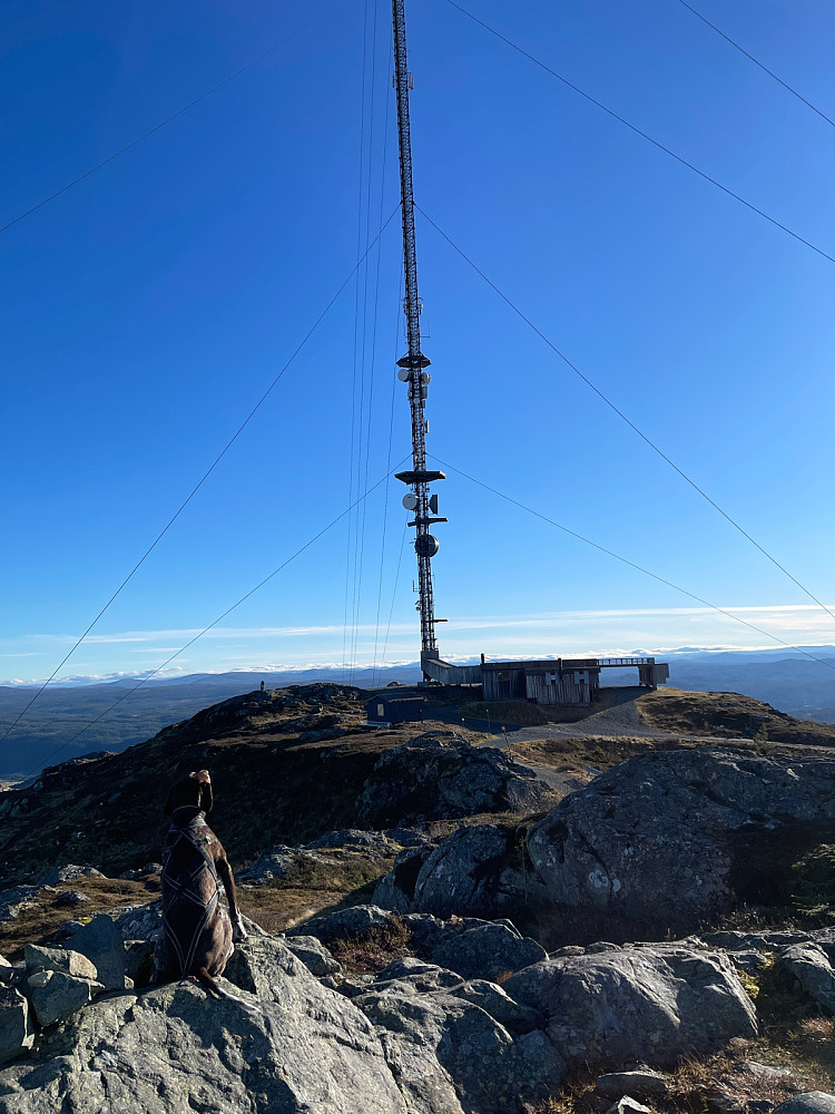 På topp!