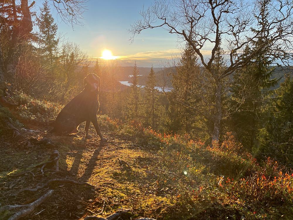 Nydelig høstvær