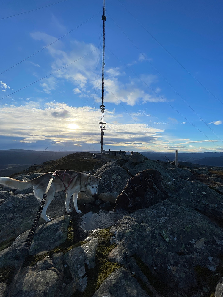 Vannfylling på toppen