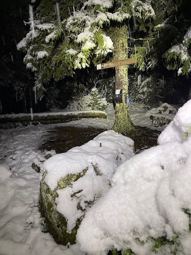 Snø på toppen