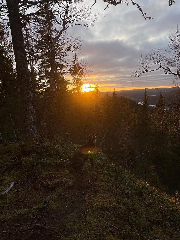Nydelig vær