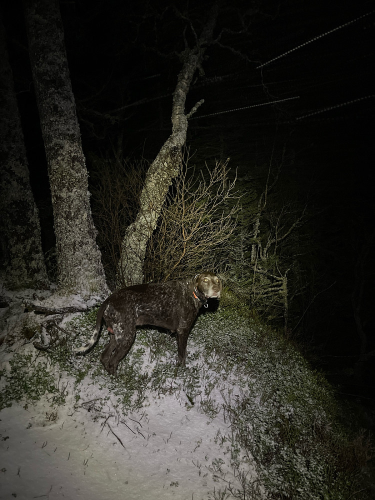 Nesten ikke snø igjen